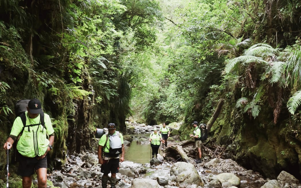 Workers walking up stream full of rocks in a fern draped gully