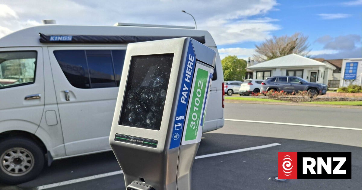 One of Rotorua's newly installed parking meters. Photo / Mathew Nash