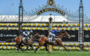 2018 Melbourne Cup winner Cross Counter.