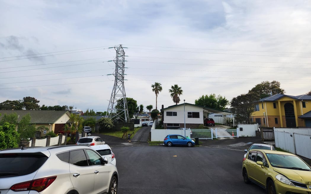 Street view of Katavich Place in Auckland's Mount Roskill.