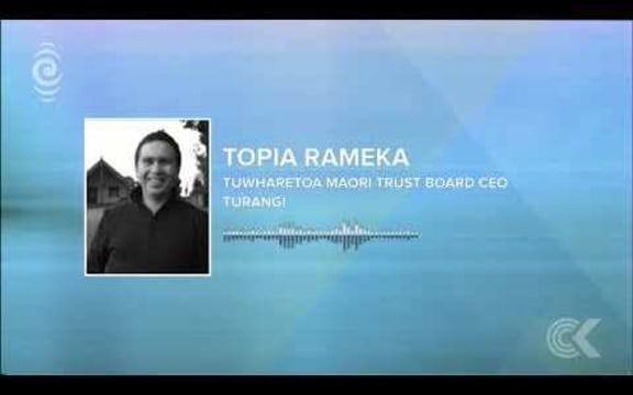 Tuwharetoa wants businesses to pay to use Lake Taupo