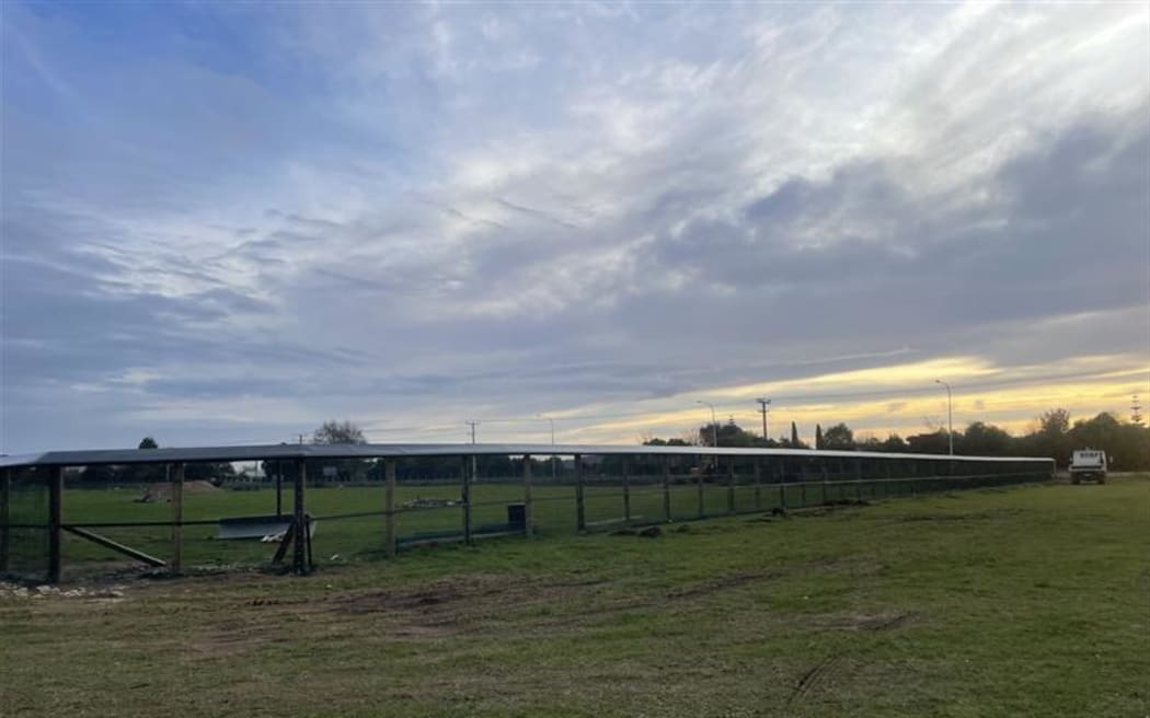 A predator proof fence has been built and a habitat developed near the highway to accommodate a number of protected native skinks and geckos.