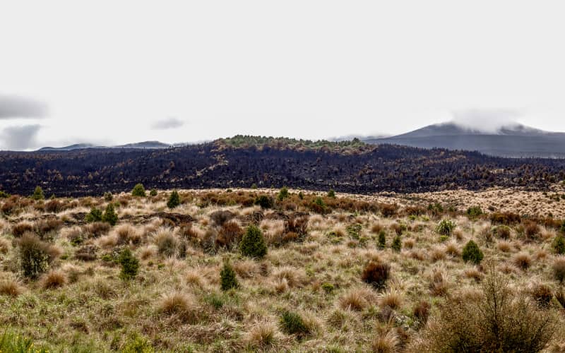 Tongariro tracks shut until at least next week after devastating ...