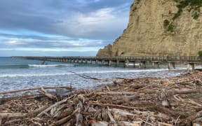 Woody debris littered Tolaga Bay/Ūawa beach on Wednesday - the same day the panel undertaking an independent inquiry into forestry slash and land use went to the East Coast town to hear first-hand from locals about the fallout from recent storm events.