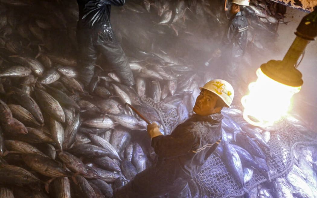 Fishermen from the Marshall Islands work in the cabin of a purse seine fishing vessel.