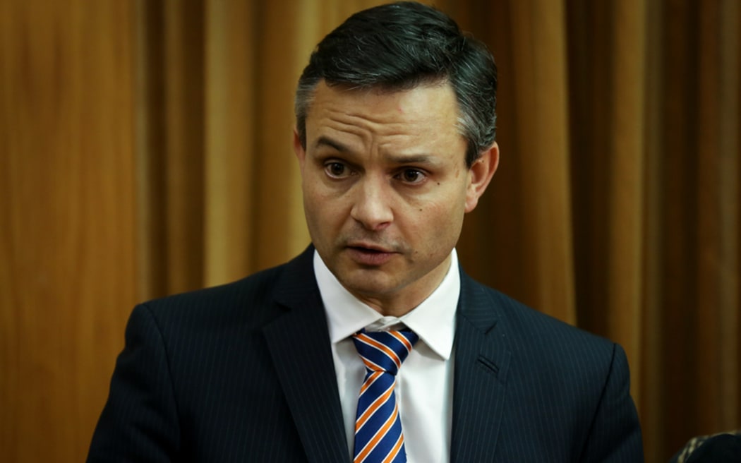Green Party co-leader James Shaw