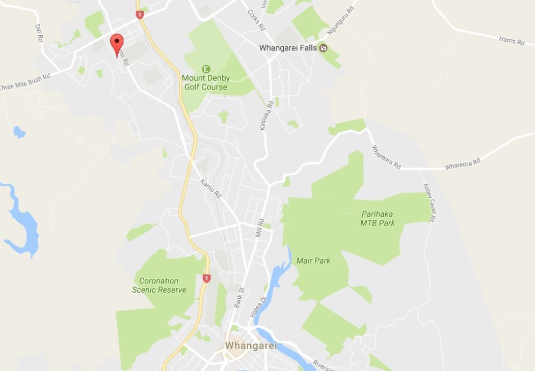The incident happened at a Clark Road property in the Whangarei suburb of Kamo.