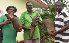 Tari Molisale (centre) and Santo DARD officers with wailu yams from the central islands.