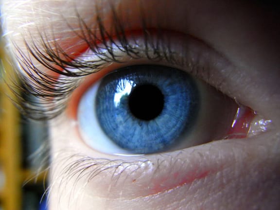 Child's eye