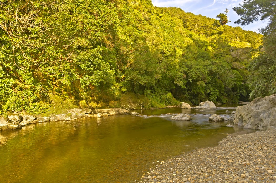 Kaitoke Regional Park.