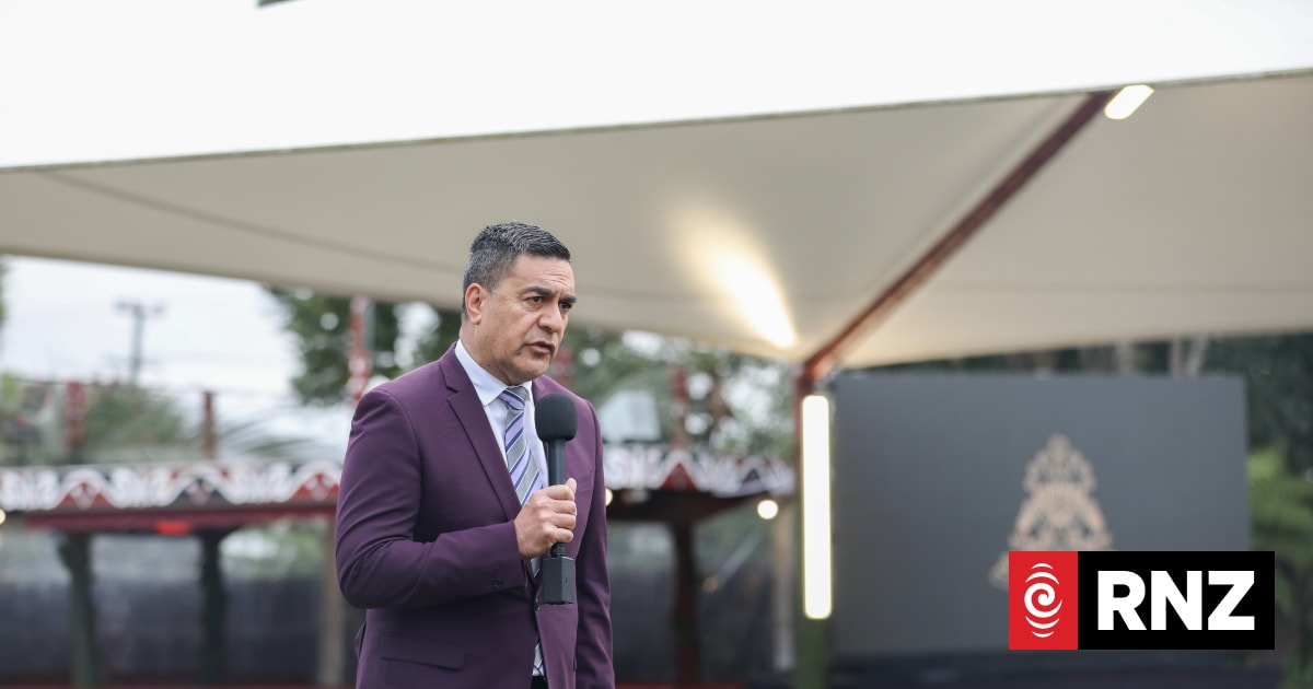 Julian Wilcox named as new chair of Te Taura Whiri i te Reo Māori