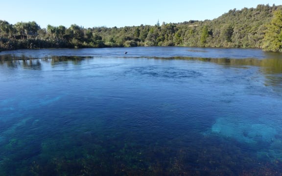 Te Waikoropupu Springs