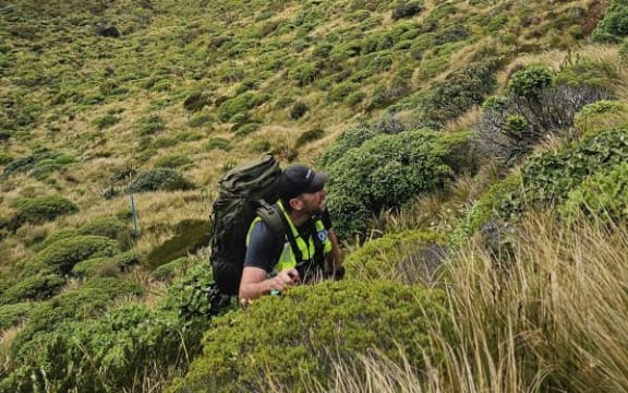 Graham Garnett search