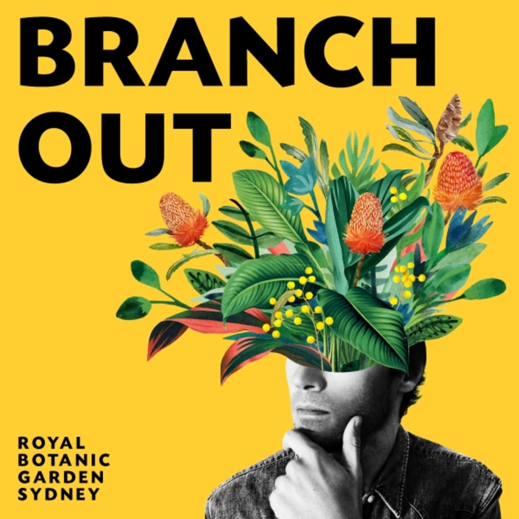 Branch Out Logo (Supplied)