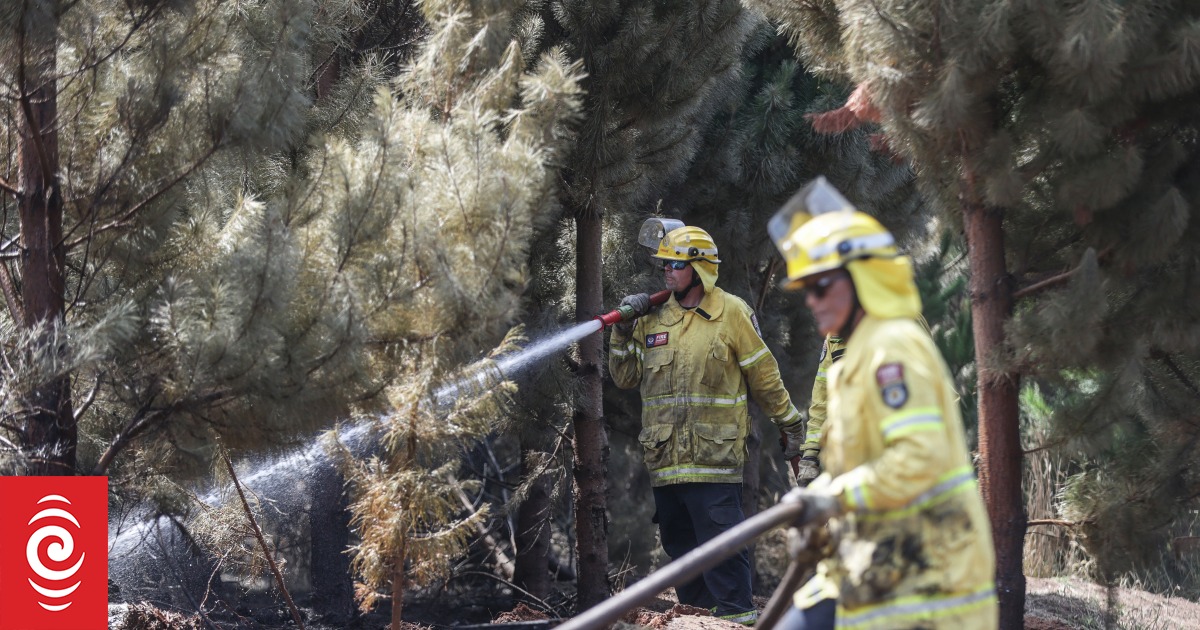 Port Hills fire: crews put out 50% of hotspots - Vimarsana News