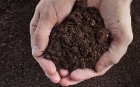 soil