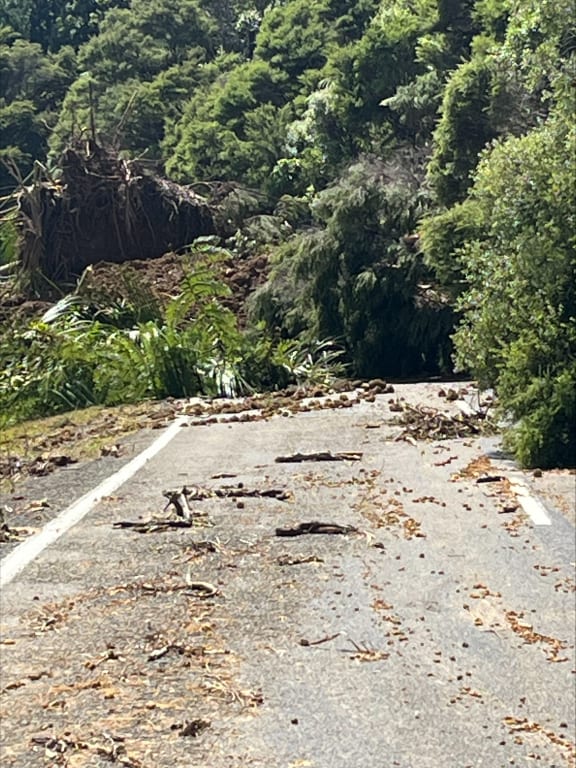 Slips across SH35 above Hicks Bay Motor Lodge.