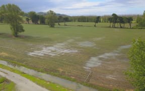 Wet weather on Northland farm