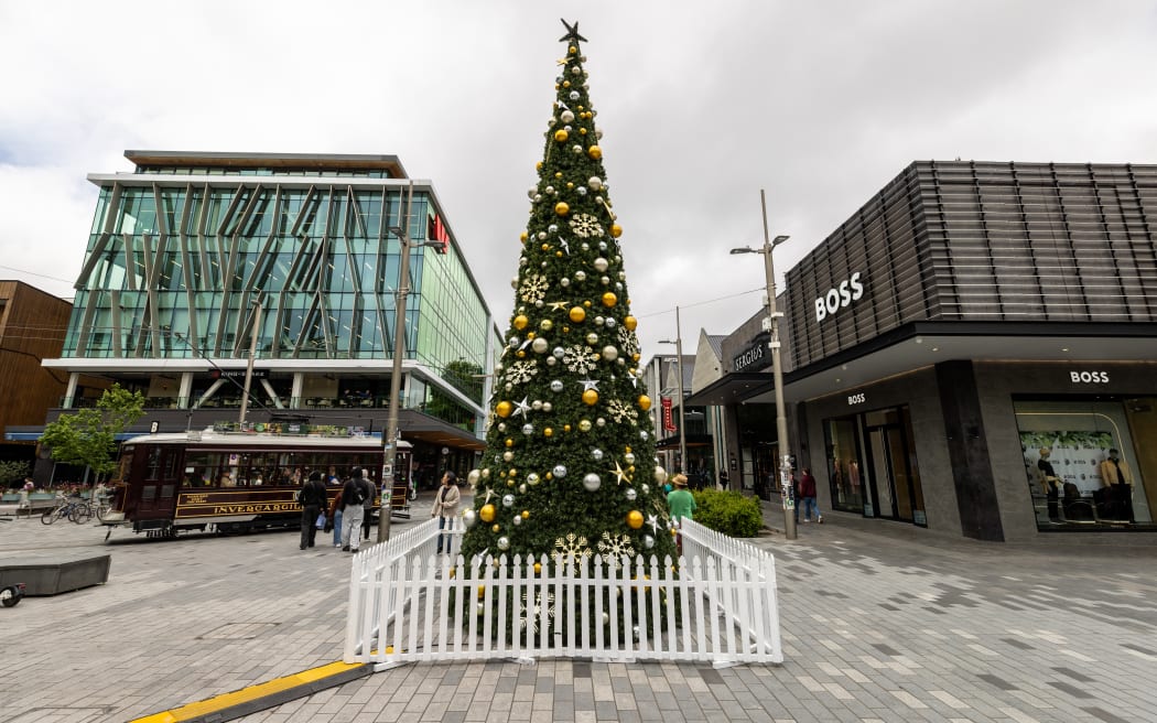 Christchurch Christmas Tree