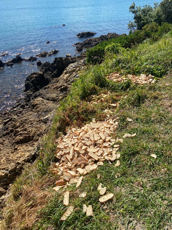 Bread dumped near trap sites in Wellington