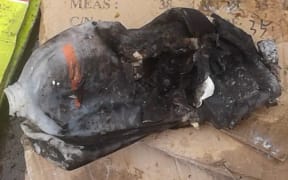 A lithium-ion battery that started a recycling truck fire in Green Bay, Auckland