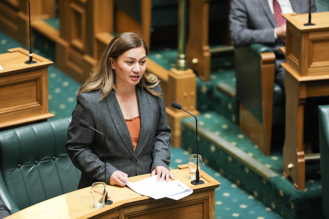 Green Co-leader Marama Davidson gives her 2021 budget speech