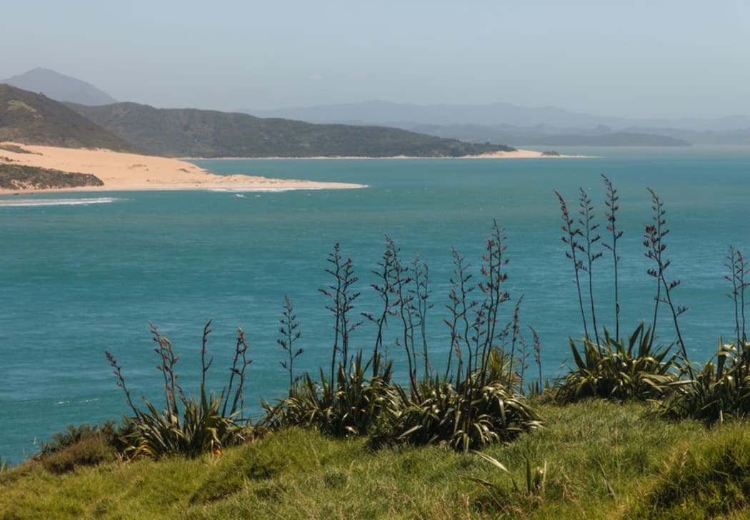Hokianga harbour