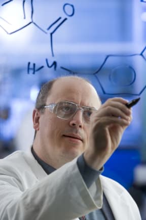 Professor David Leigh