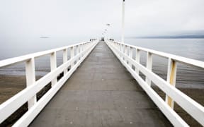 The Days Bay wharf where a passenger is believed to have gone overboard from a ferry.