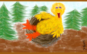 A sketch of Big Bird