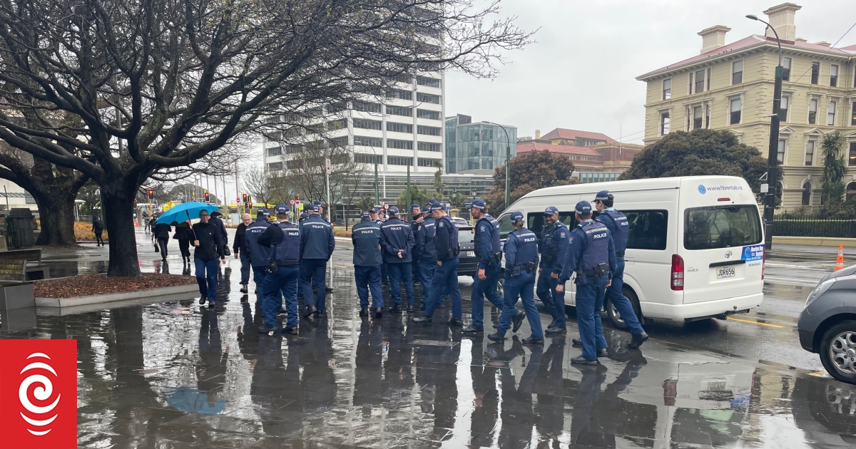 Police want public to film any law-breaking Wellington protesters - Vimarsana News
