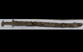 The ancient sword found in a Swedish lake.