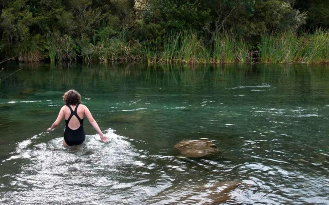 Ecologist, Mike Joy criticises govts swimmable rivers target | RNZ
