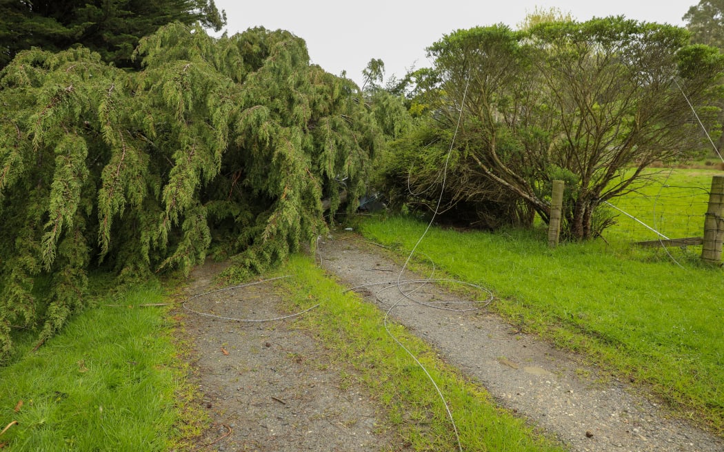 Powerlines on a driveway, transformer lays crushed under tree