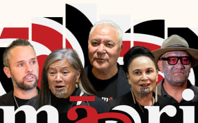 Composite of John Tamihere, Debbie Ngarewa-Packer, Rawiri Waititi and Tākuta Ferris and Te Pāti Māori logo and icon.