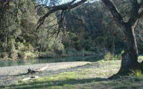 Waimana Gorge in Te Urewera