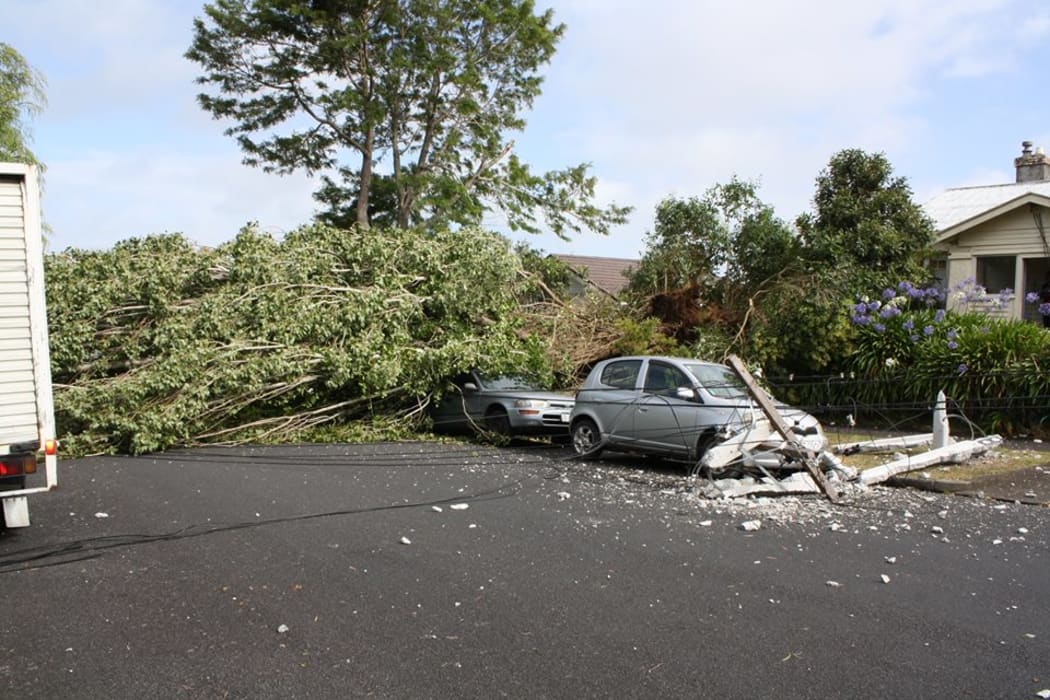 High winds brought down trees and power lines in Mt Eden.