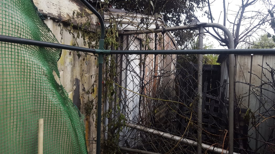 Thelma Littlejohn lost a side of her plastic greenhouse of tomatoes and chillis when the back corner of her property burned out