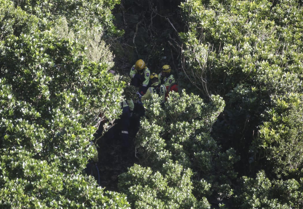 Emergency services are at the scene on Paekākāriki Hill Road.