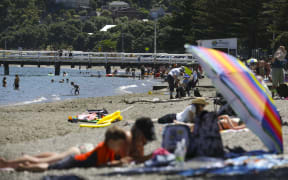 Summer in Eastbourne, Wellington.