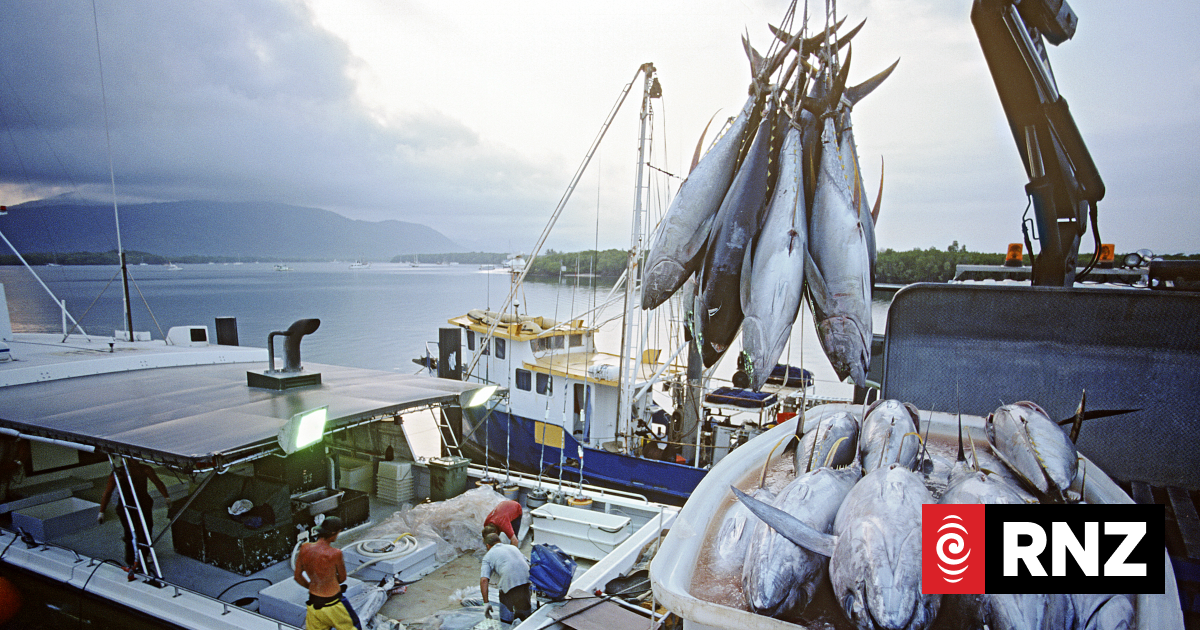 New rules for fishers aims to protect seabirds - Vimarsana News