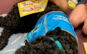 Rocco the therapy dog reading with the kids