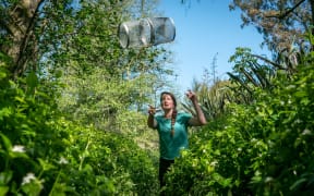 Niwa freshwater scientist Eimear Egan hopes that a three-year research project will help reveal the secret life of eels, where they go and why.