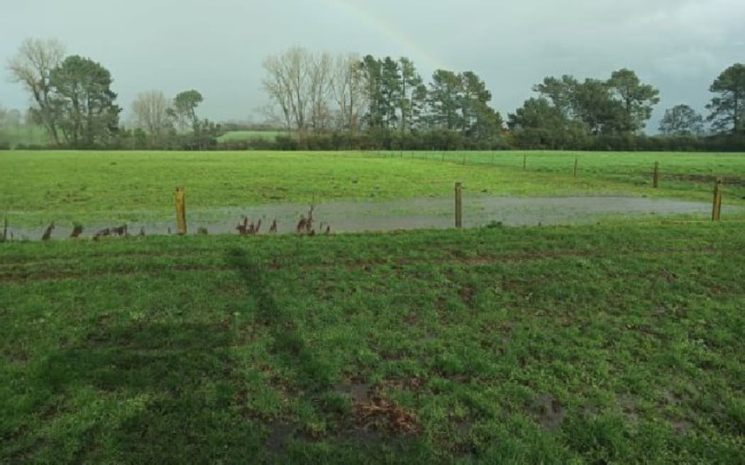 Sharemilker and Waikato Federated Farmers dairy chair Matthew Zonderop said there had not been a good dry spell since October.