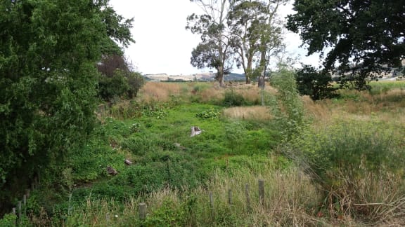 The Mangateretere Pond, which is dry at this time of year.