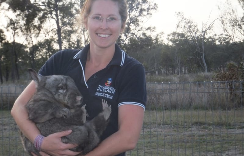 Alyce Swinbourne and a wombat