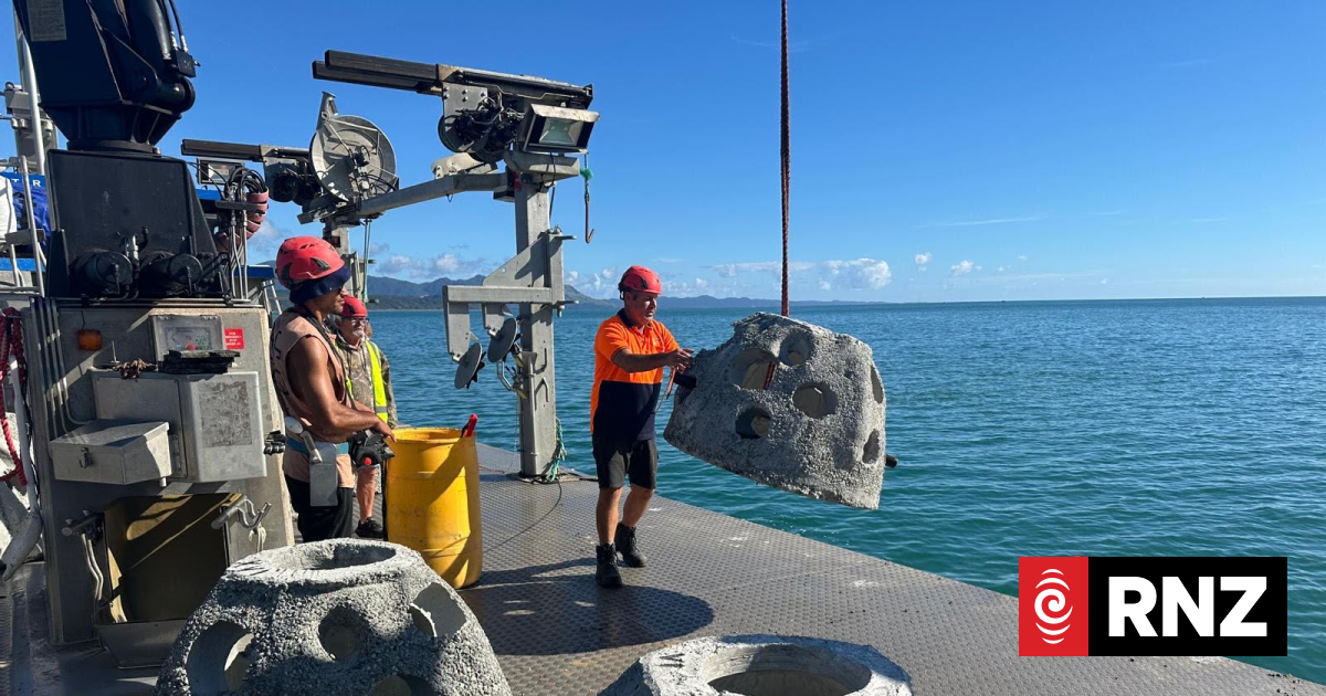 Exciting Local Conservation Work in Progress! | RNZ