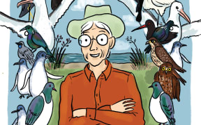 Sylvia and the Birds