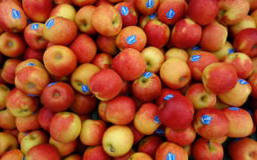 Jazz apples at the Harbourside Market in Wellington.