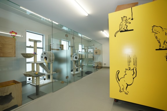 Some of the rooms at Pet Refuge